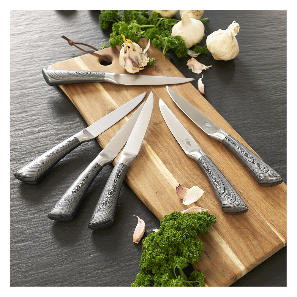 Lot de 6 couteaux à steak design
