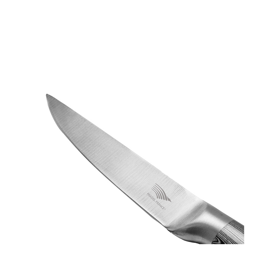 Lot de 6 couteaux à steak design