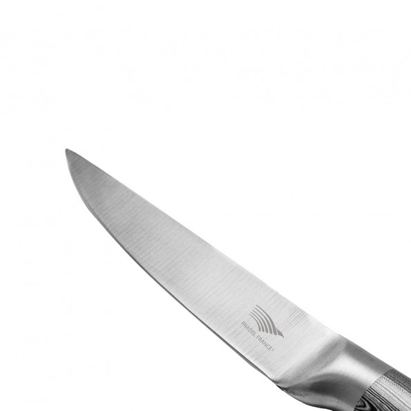 Lot de 6 couteaux à steak design