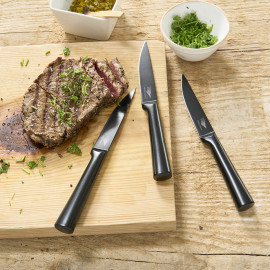 Lot de 6 couteaux à steak tout inox noir