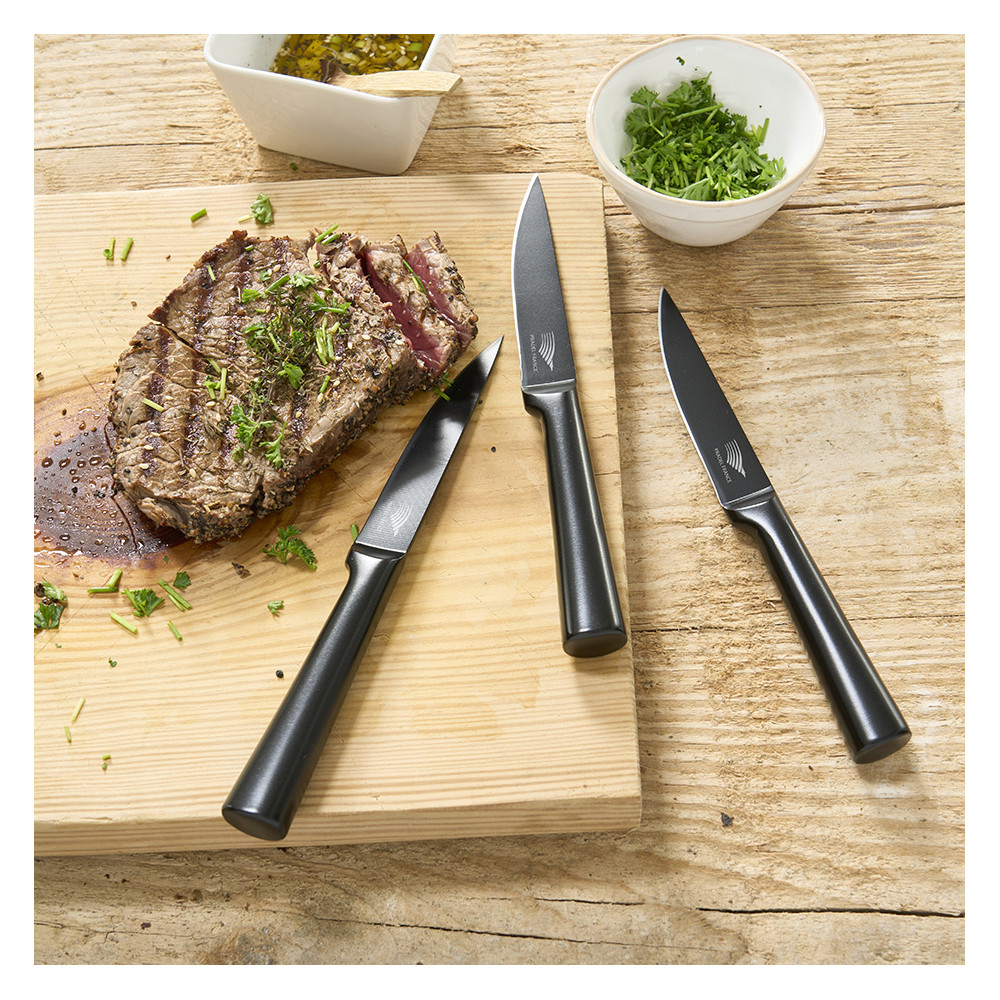 Lot de 6 couteaux à steak tout inox noir