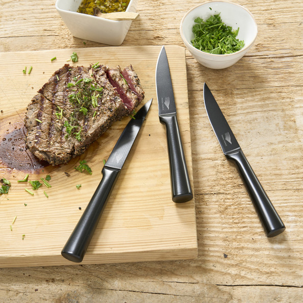 Lot de 6 couteaux à steak tout inox noir