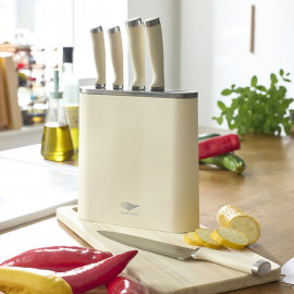 Bloc 5 couteaux vintage