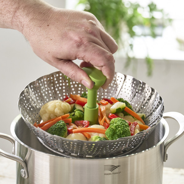 Panier vapeur pliable