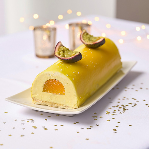 Kit moule à bûche avec insert