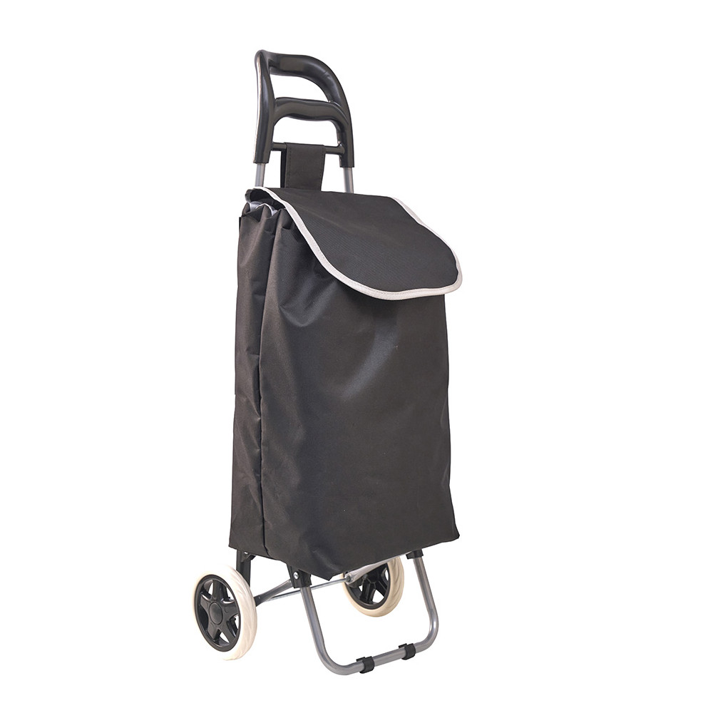 Chariot de courses avec 2 sacs interchangeables