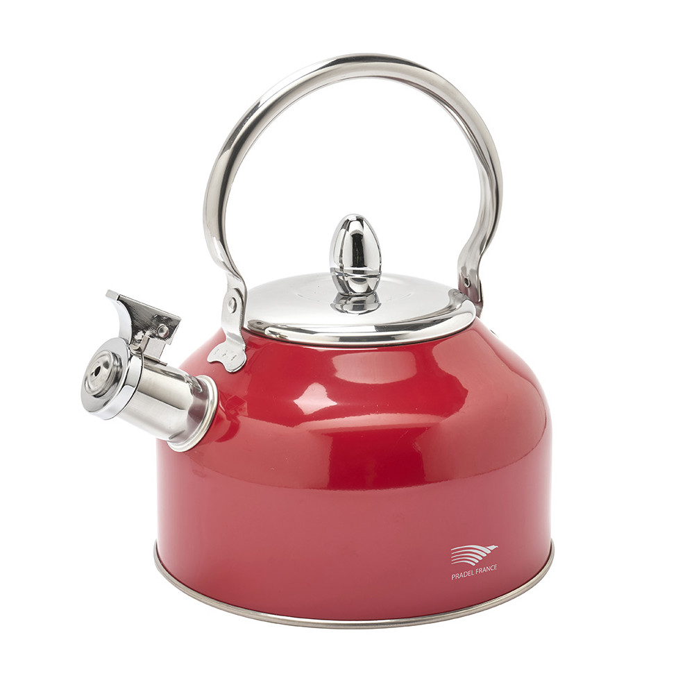 Bouilloire à sifflet