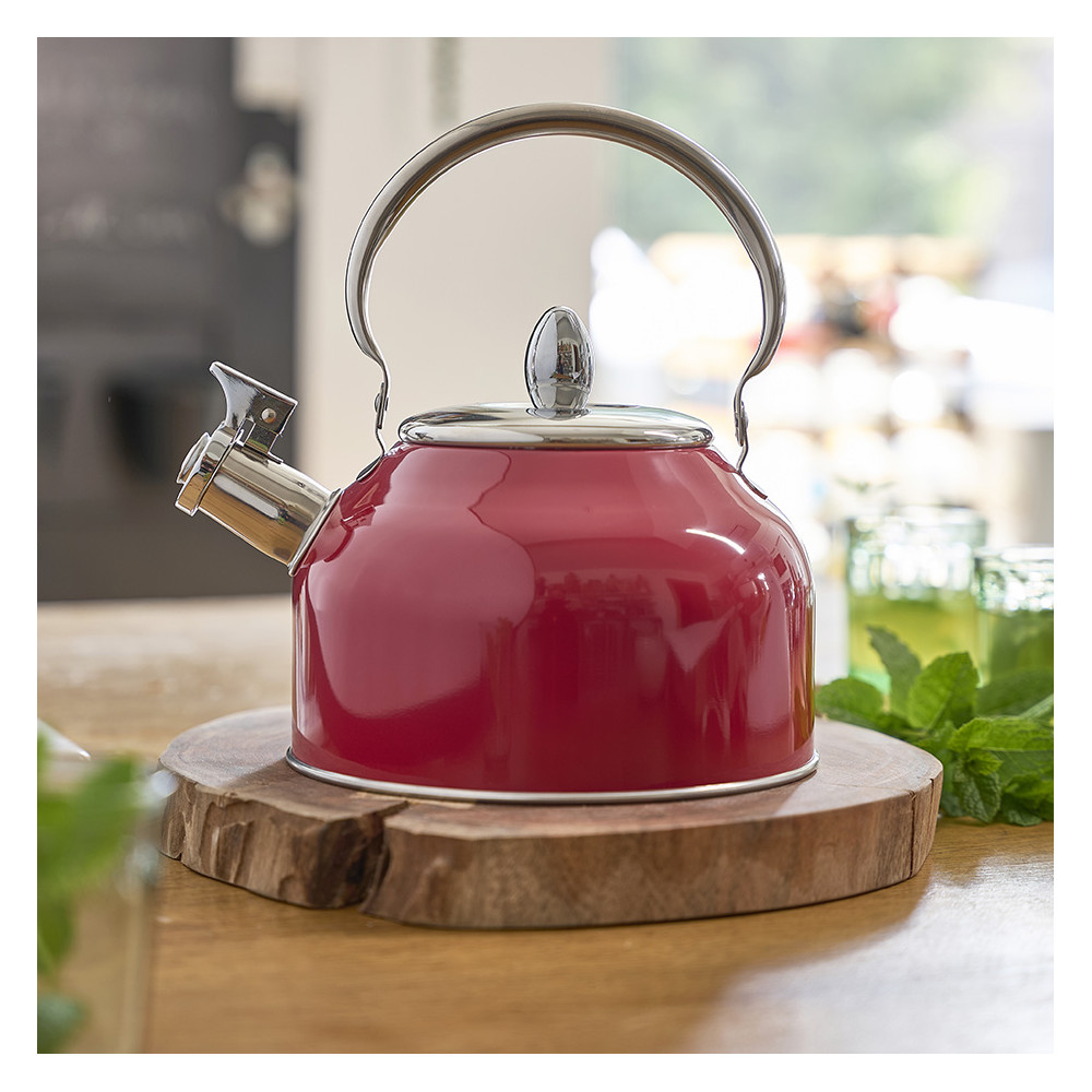 Bouilloire à sifflet