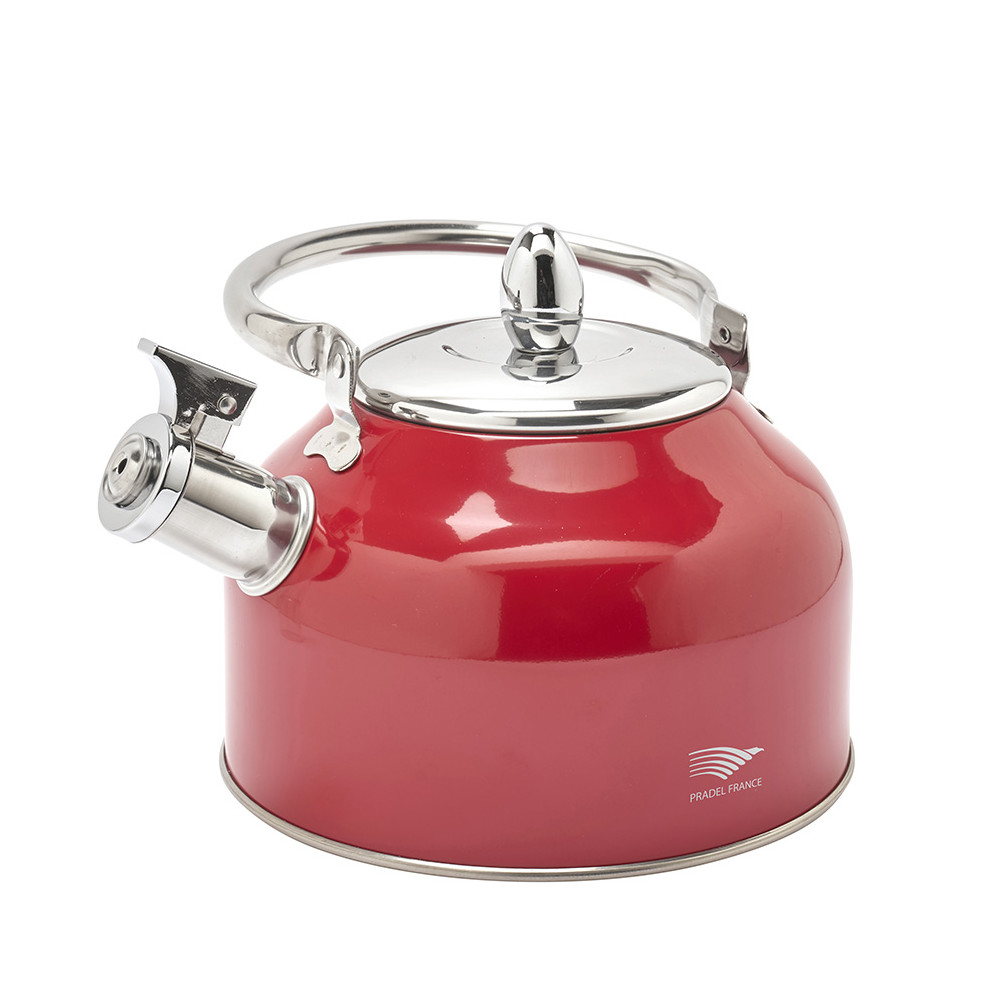 Bouilloire à sifflet