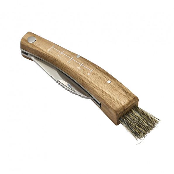 Couteau à champignon