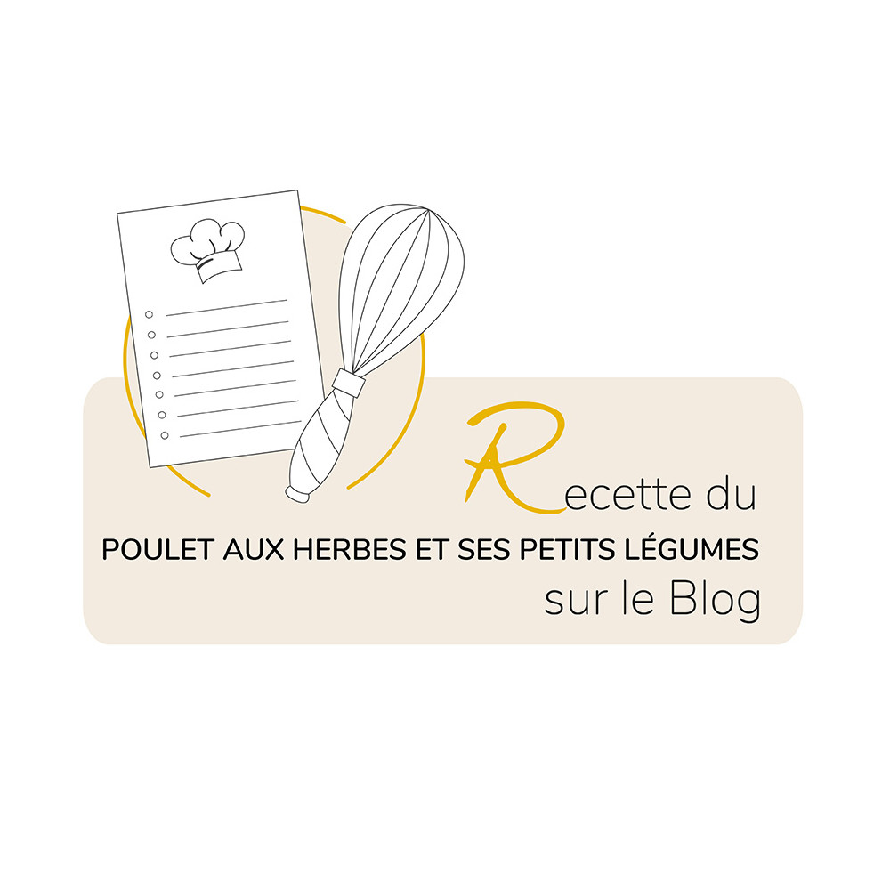 Rôtissoire saveur 2 en 1