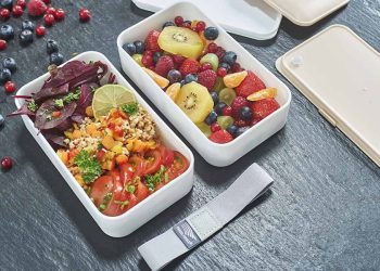 Les tendances actuelles en matière de lunch box : quelles options choisir ?